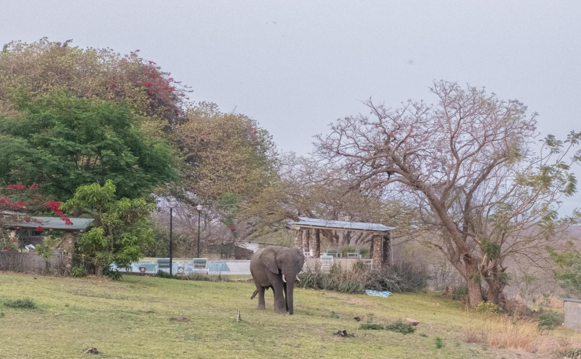 Musungwa Safari Lodge Shanjungu Bagian luar foto